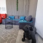 Apartamento In Vatroslava Lisinskog Street, Rijeka