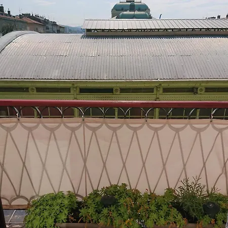 In Vatroslava Lisinskog Street, * Rijeka