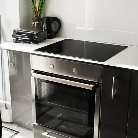 Apartment In Vatroslava Lisinskog Street, Rijeka